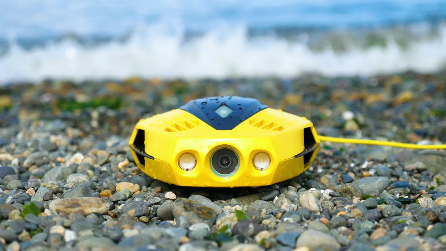 Chasing Dory lying on the beach zon