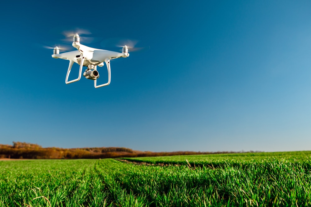 Drone Quad Copter On Green Corn Field