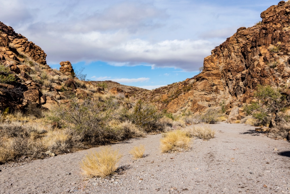 A View Of Sloan Canyon Nevada