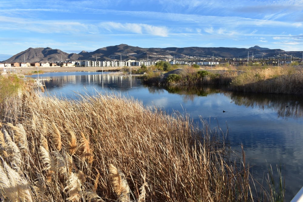 Cornerstone Park In Beautiful Henderson Nevada